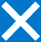 x icon